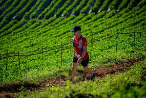 BIB: 
                            <button type="button" onclick="openModal(19161147)" class="btn btn-primary btn-sm float-right btn-popup" data-toggle="modal" data-target=".modal-high-quality">
                        <i class="fas fa-shopping-cart"></i> Add to Cart
                    </button>
                                            <button type="button" onclick="isThisMe(19161147, true)" class="btn btn-success btn-sm float-right btn-popup btn-isme hidden" data-toggle="tooltip" data-placement="bottom" title="นี่คือรูปของคุณใช่ไหม คลิกที่นี่เพื่อเอาเข้าอัลบั้ม">
                        <i class="fas fa-plus"></i> Add to album
                    </button>
                    <button type="button" onclick="isThisMe(19161147, false)" class="btn btn-warning btn-sm float-right btn-popup btn-isnotme hidden">
                        <i class="fas fa-ban"></i> Remove from album
                    </button>